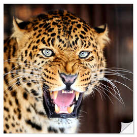 Wall sticker Leopard portrait