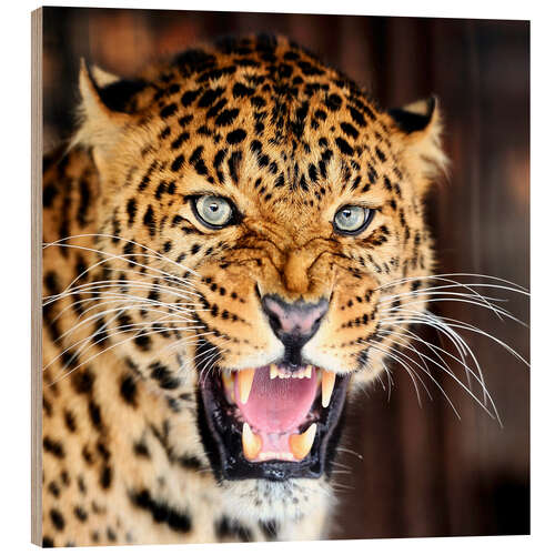 Wood print Leopard portrait