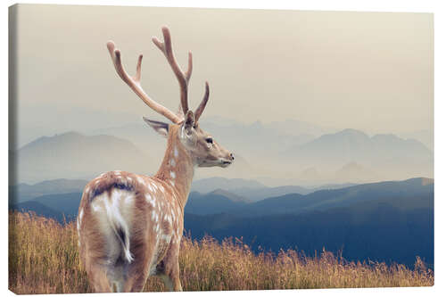 Canvas print Deer standing on the mountain