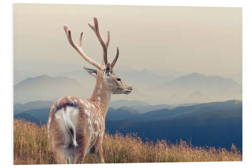 Foam board print Deer standing on the mountain