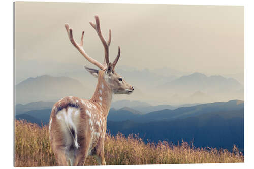 Galleriprint Deer standing on the mountain