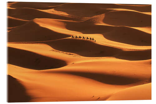 Acrylic print Sahara desert