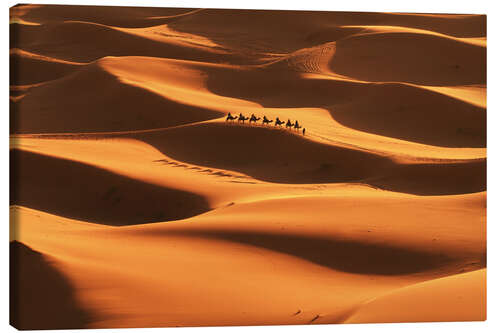 Canvas print Sahara desert