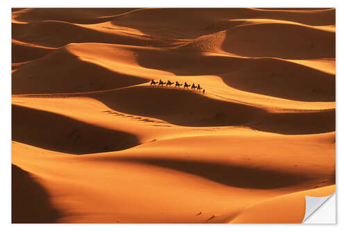 Selvklebende plakat Sahara-ørkenen