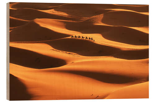 Puutaulu Sahara desert