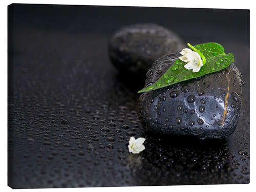 Stampa su tela Black stones with leaf