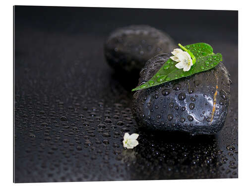 Gallery print Black stones with leaf