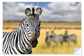 Wandsticker Blick des Zebras