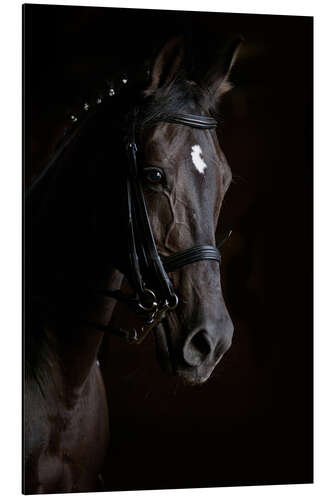 Aluminiumsbilde Dressage horse in profile