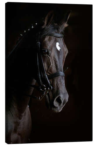 Canvas-taulu Dressage horse in profile