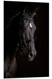 Foam board print Dressage horse in profile