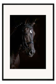 Gerahmter Kunstdruck Dressurpferd im Profil