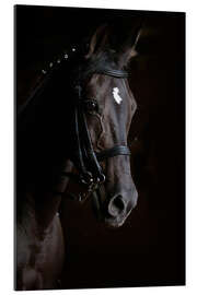 Gallery print Dressage horse in profile