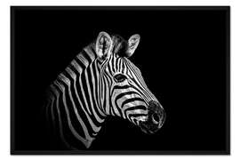 Gerahmter Kunstdruck Zebra - close up
