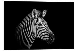 Foam board print Zebra - close up