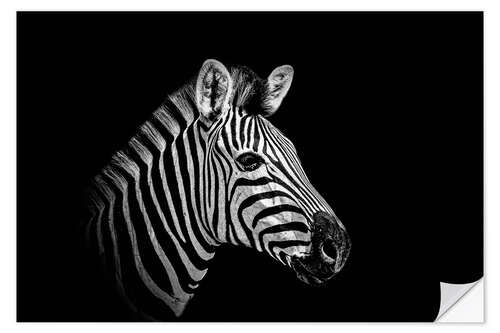 Selvklebende plakat Zebra - close up