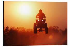 Aluminium print Driving quad