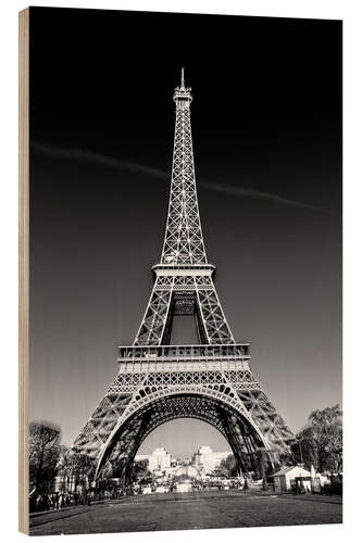 Wood print The Eiffel Tower, Paris