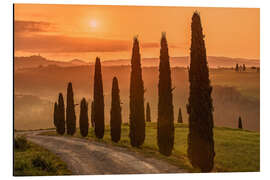 Aluminium print Golden Morning - Tuscany