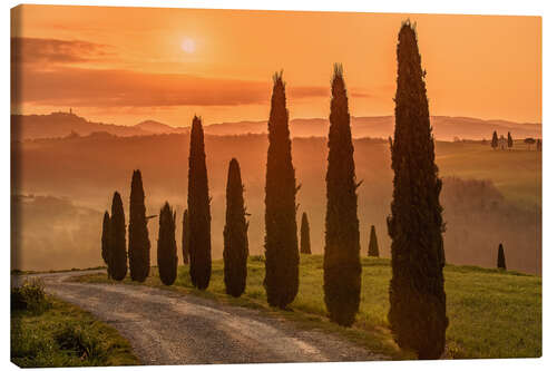 Canvas-taulu Golden Morning - Tuscany