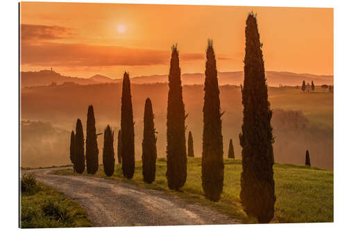 Gallery print Golden Morning - Tuscany