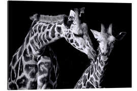 Gallery Print Mutter und Kind Giraffe