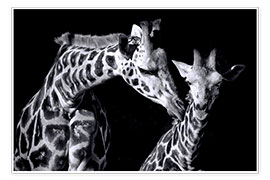 Wandbild  Mutter und Kind Giraffe - Sabine Wagner