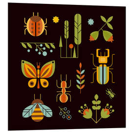 Stampa su PVC Retro Insects