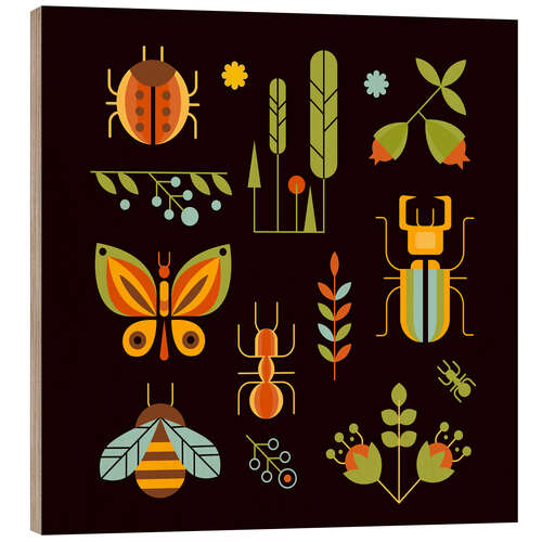 Quadro de madeira Retro Insects