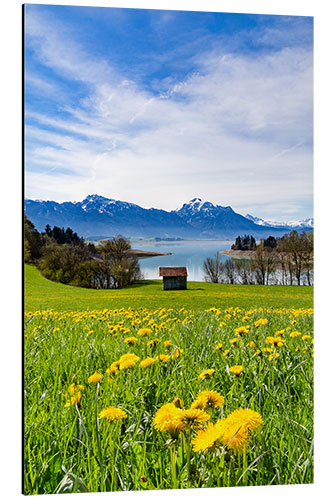 Aluminium print Bavarian Landscape with Mountains