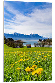 Cuadro de aluminio Bavarian Landscape with Mountains