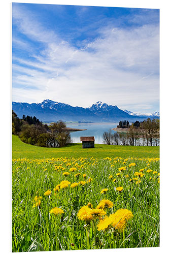 Tableau en PVC Paysage bavarois avec des montagnes