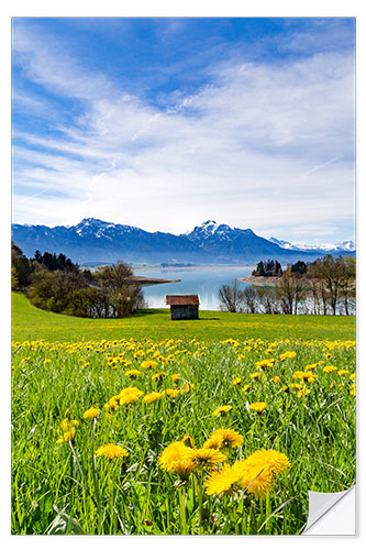 Muursticker Bavarian Landscape with Mountains