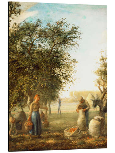 Tableau en aluminium Apple harvest