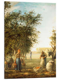 Gallery print Apple harvest