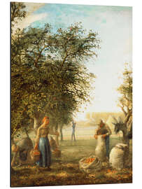 Magnettafel Apfelernte