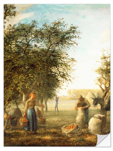 Muursticker Apple harvest