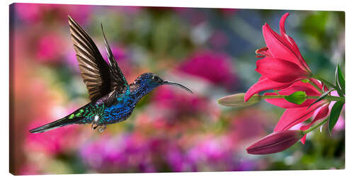 Leinwandbild Kolibri mit Lilien