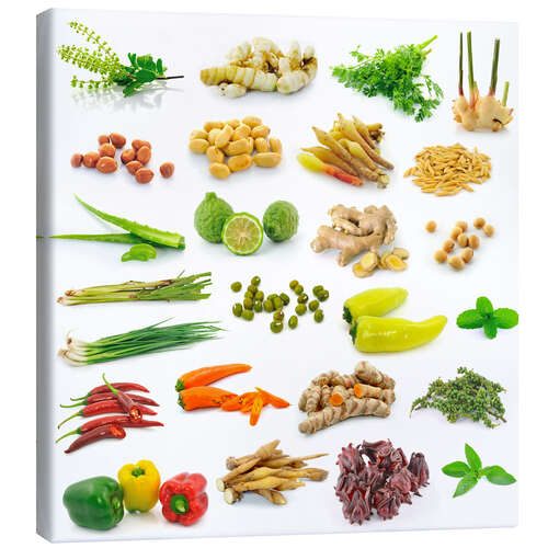 Canvas print Vegetable and herb collection