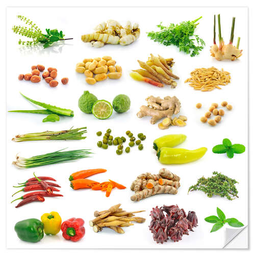 Selvklæbende plakat Vegetable and herb collection