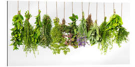 Gallery print Hanging herbs
