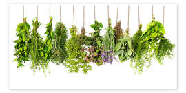 Wall print  Hanging herbs