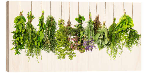 Wood print Hanging herbs