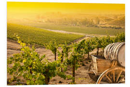 Hartschaumbild Weinberg zur Weinlese