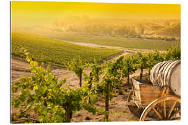 Gallery Print Weinberg zur Weinlese