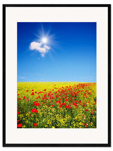 Plakat artystyczny premium w ramie Sunny landscape with flowers in a field