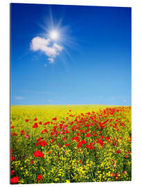 Gallery print Sunny landscape with flowers in a field