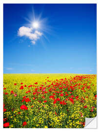 Självhäftande poster Sunny landscape with flowers in a field