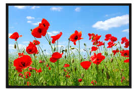 Gerahmter Kunstdruck Rote Mohnblumen auf der grünen Wiese