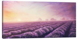 Lærredsbillede  Lavender dream